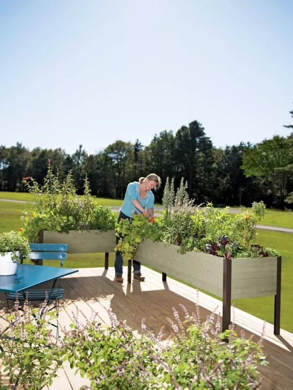 AnkerfieldSelf-Watering Eco-Stained Elevated Planter Box