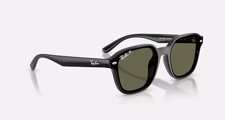Ray-Ban RB4458D