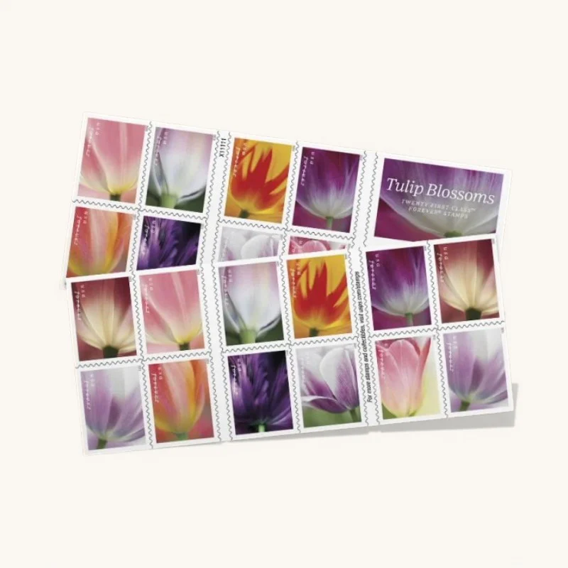 2023 Tulip Blossoms First Class - Forever Postage Stamps(100 Stamps 5 Books)
