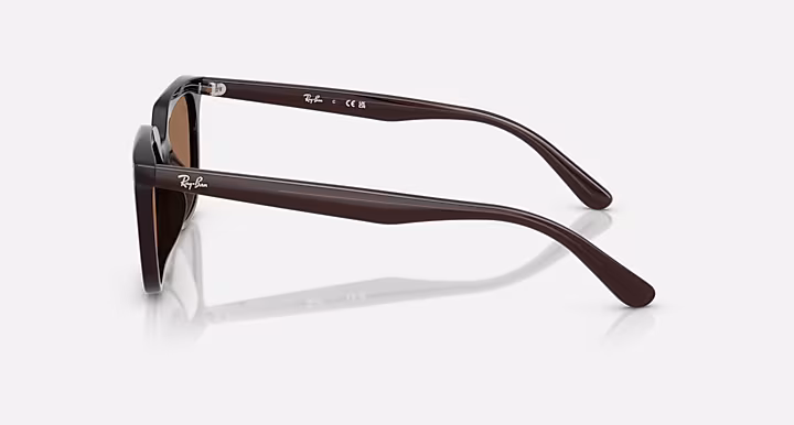 Ray-Ban RB4439D