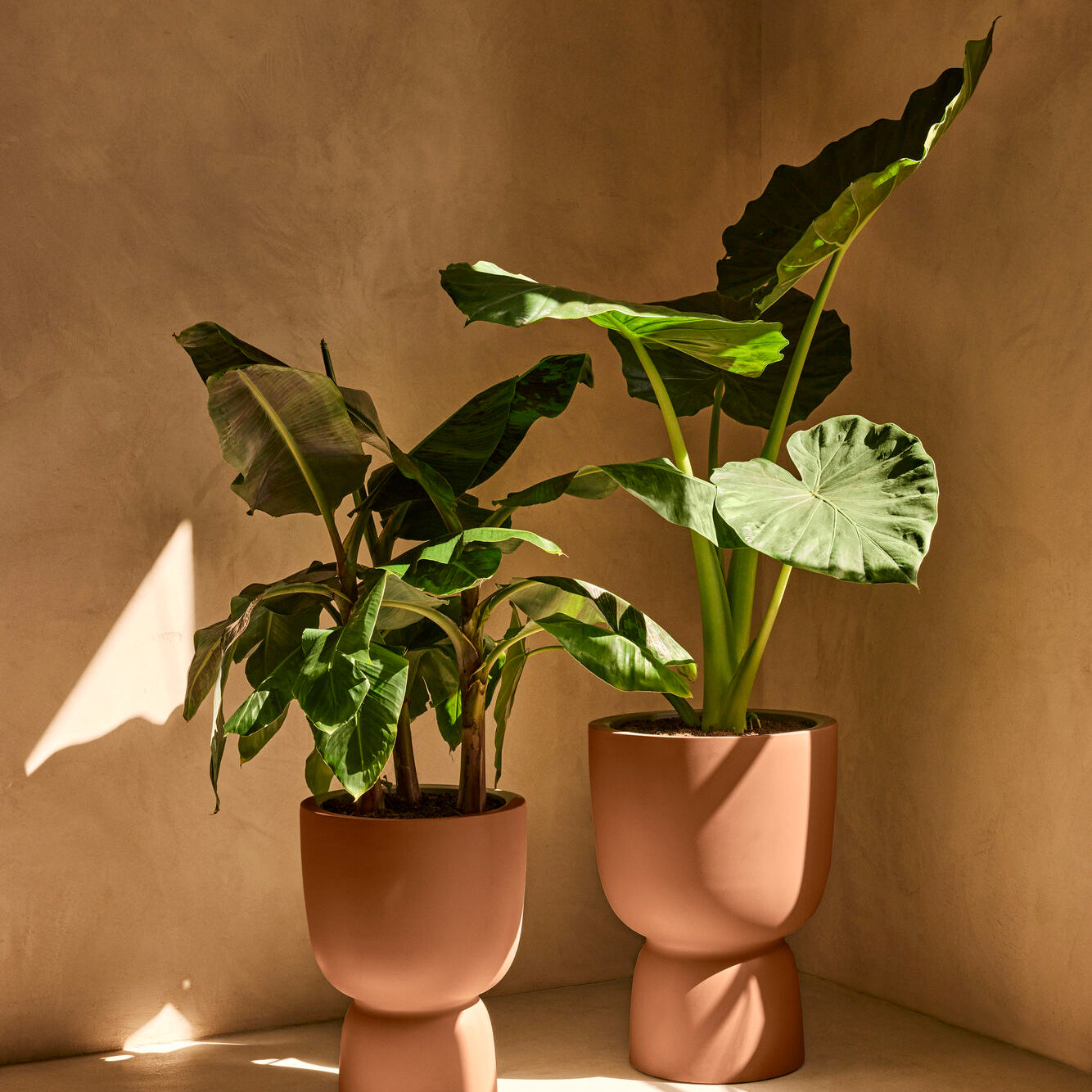 Elho Amber Coupe 35 - Karamel - L 35 x B x H 49 cm - Binnen en Buiten