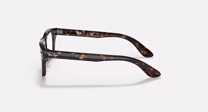 Ray-Ban BURBANK OPTICS KIDS