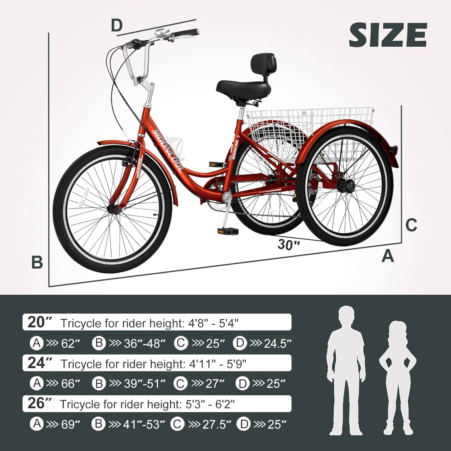 FICISOG 7 Speed Adult Tricycle for Women, 20/24/26 Inch Adult Trike with Basket, 3 Wheel Bikes for Adults Seniors, Cruise Trike for Shopping Picnic - Image 2