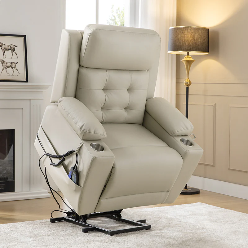 WAYFAIR Walter Power Electric Lift Elderly Recliner