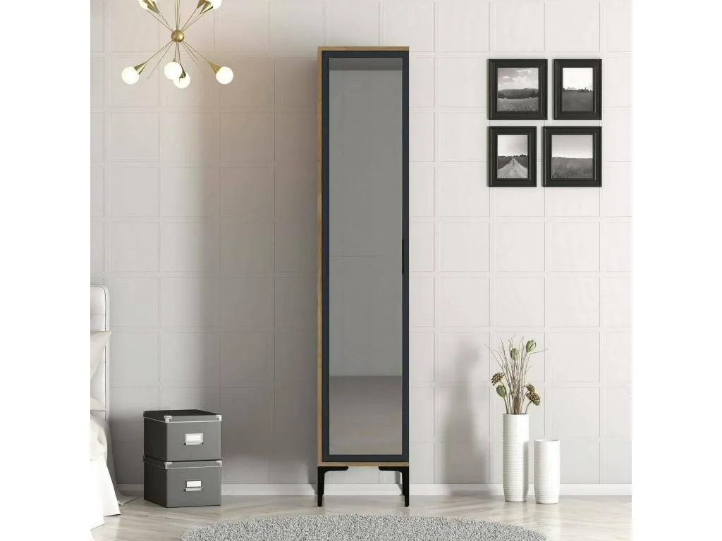 Armario multiusos 1 puerta Patriciabaezcasa Muebles multifuncionales Zapatero Armario para zapatos 40x201h48 cm Nogal y Antracita