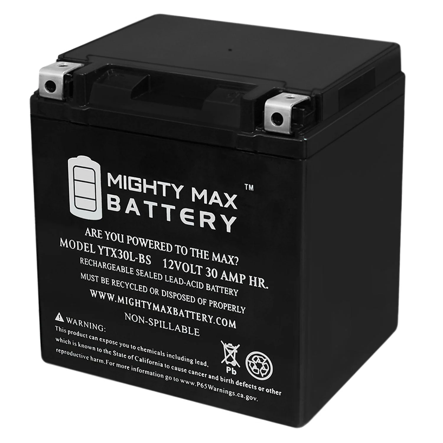 YTX30L - BS Battery for Harley Davidson Electra Glide Classic 2004