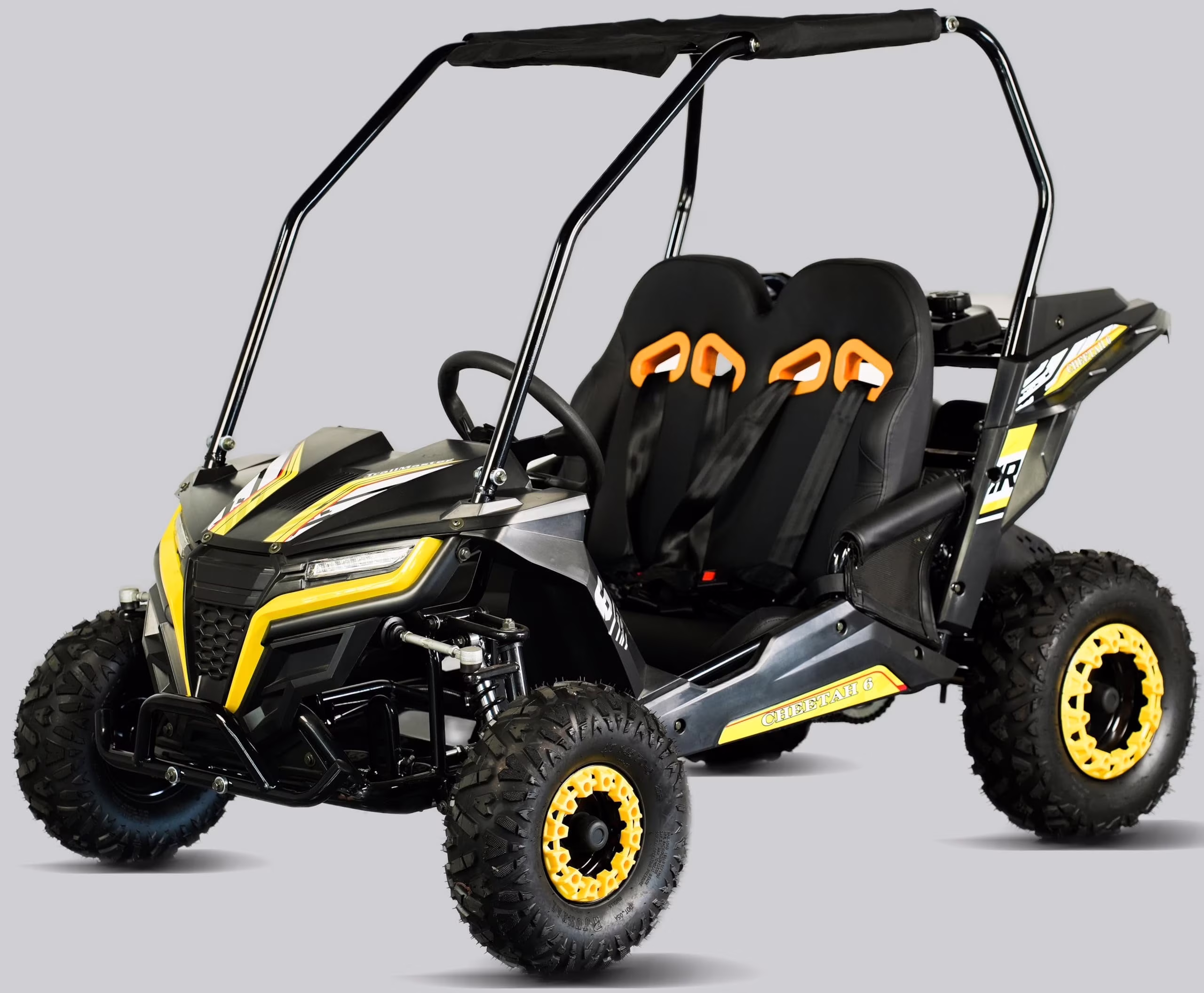 TrailMaster Cheetah 6 Youth Go-Kart - 163cc 5.5HP Engine, 4-Point Safety Belt, Remote Kill, Speed Governor, Suitable for Kids 6-12. with Pre-Assembled Version Now! (Pre-Assembled, Blue)