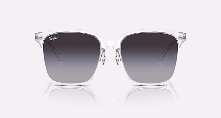 Ray-Ban RB2206D