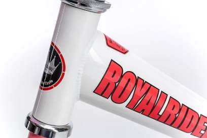 Royalbaby Jenny Princess 20 inch Girl-s Bicycle. White & Pink