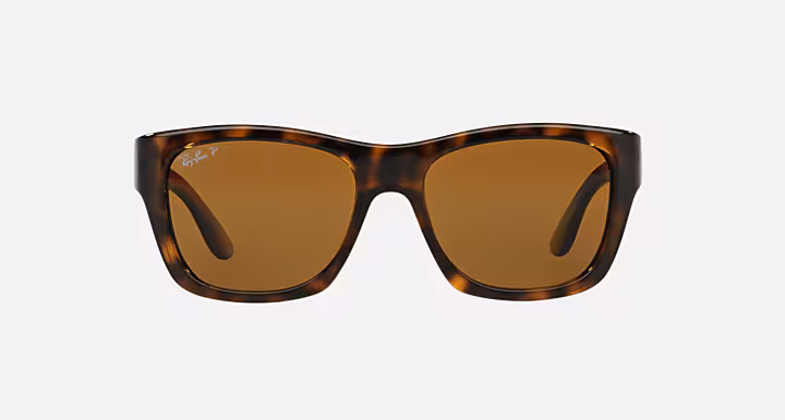 Ray-Ban RB4194