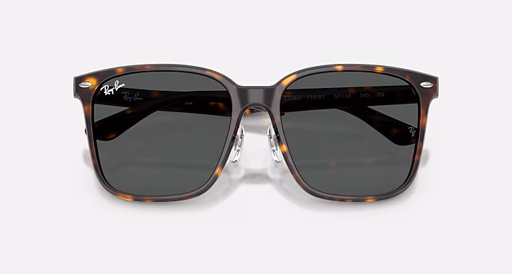 Ray-Ban RB2206D