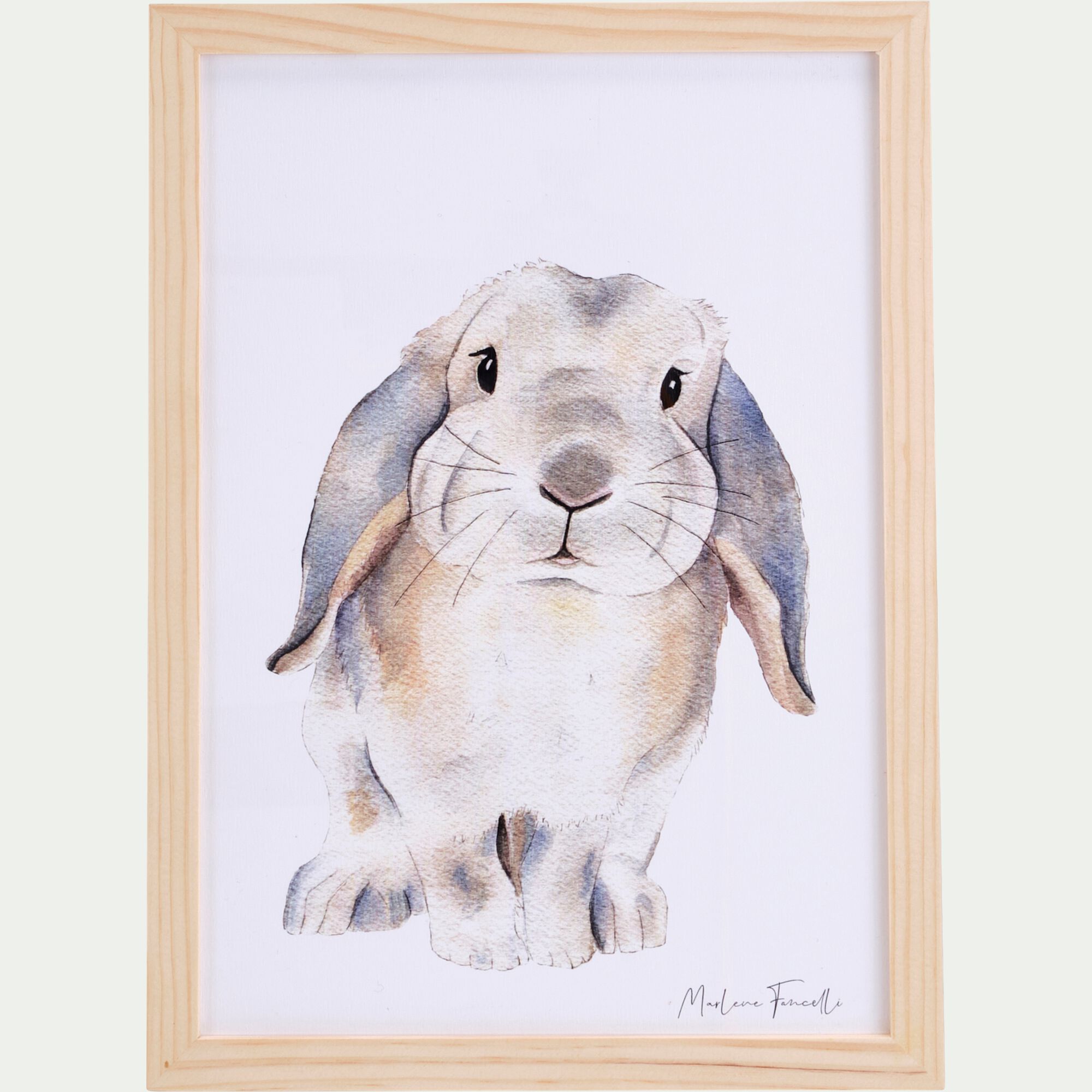 LAPIN BELIER - Image aquarelle encadrée Lapin bélier - A4