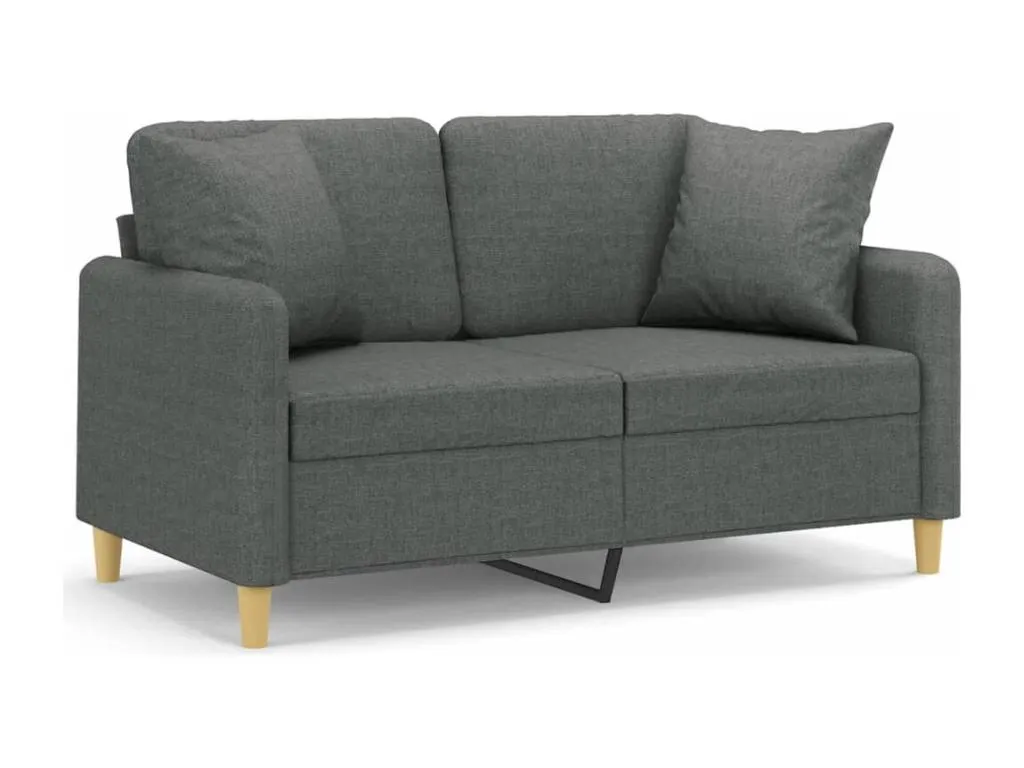 Sofá de 2 plazas con cojines tela gris oscuro 120 cm