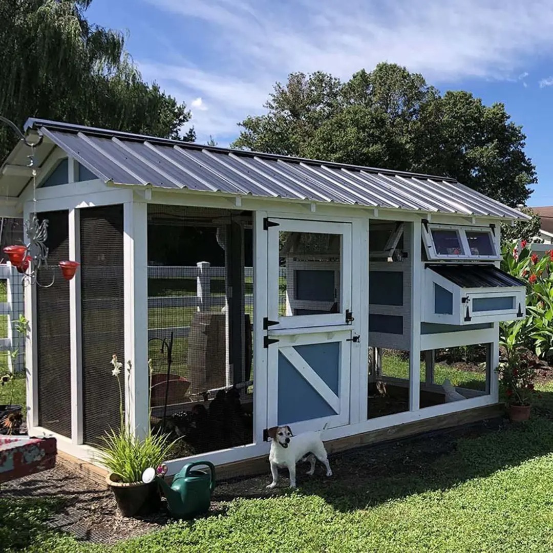 WAYFAIR Outdoor Chicken Coop - 6"X12"X7.5"