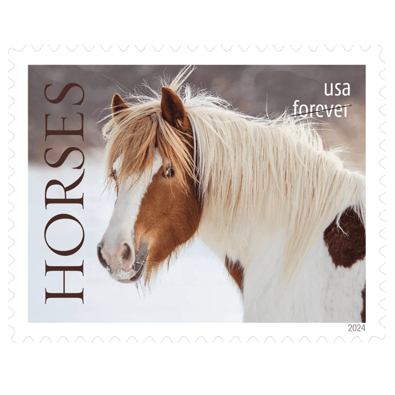 Forever Stamps 2024 Horses – Nature Series. First-Class Postage(100 Stamps 5 Sheets)