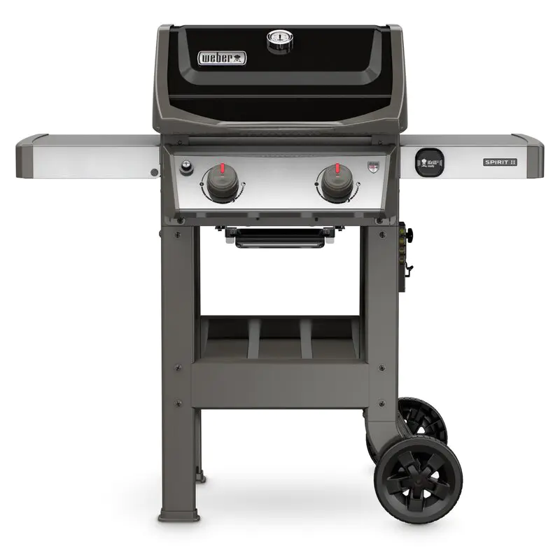 WAYFAIR Weber Spirit II E-210 Liquid Propane, Black