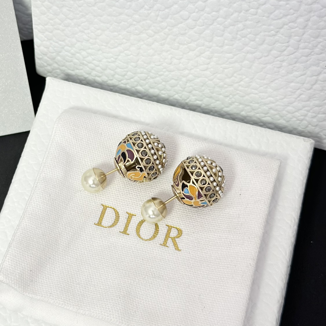Dior Enamel Earrings - Original Replica Club