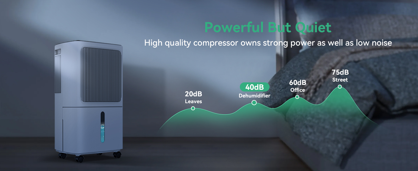 dehumidifiers for home