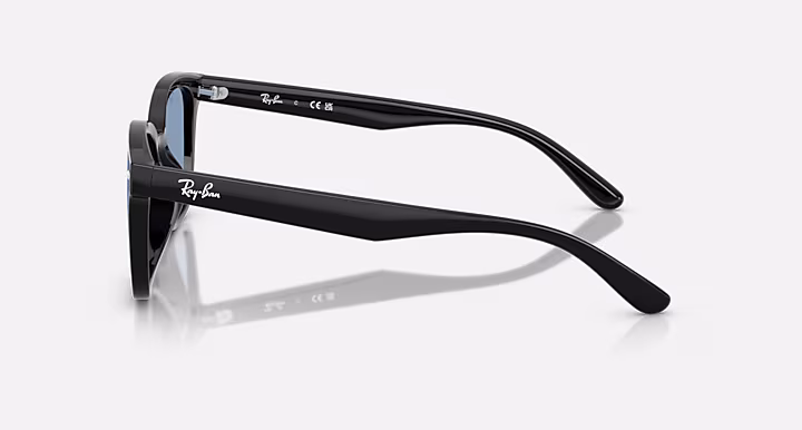 Ray-Ban RB4461D