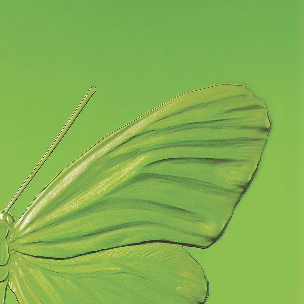 ETERNAL HOPE DAMIEN HIRST & LALIQUE 2015 - CRISTAL VERT