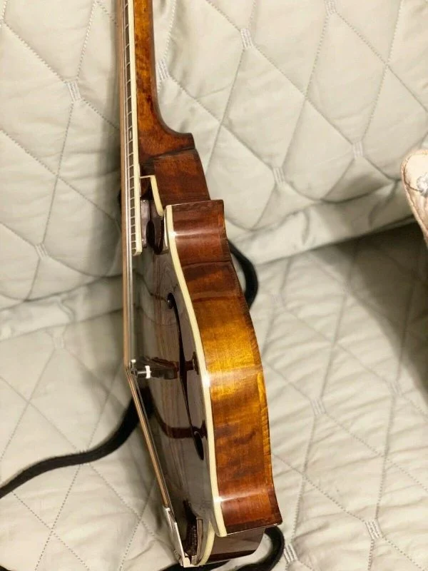 Eastman F-Style Mandolin, 8 Strings, Brown, With Hard Case - MD515 - Image 4 Eastman F-Style Mandolin, 8 Strings, Brown, With Hard Case - MD515 - Image 4