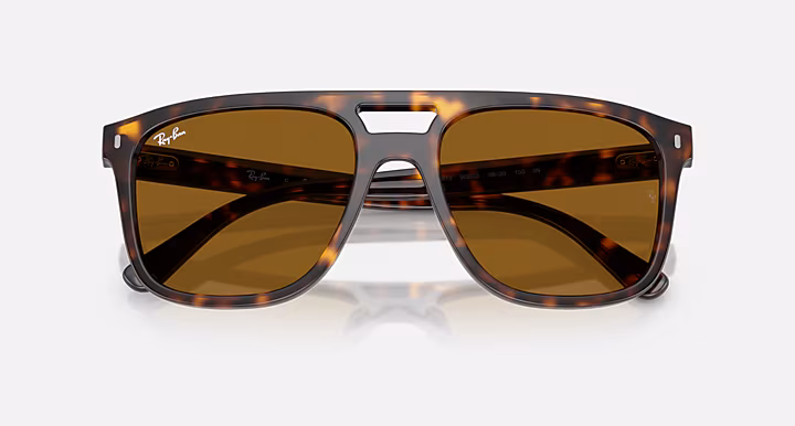 Ray-Ban RB2213