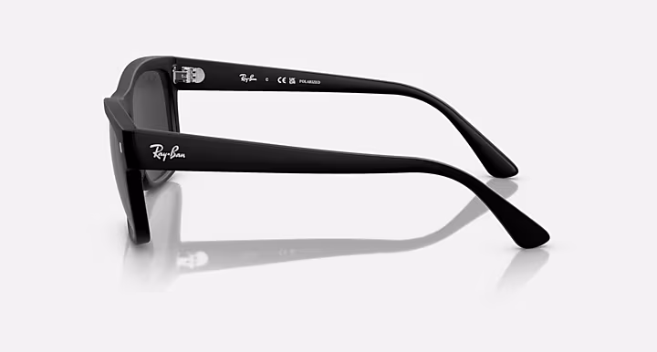 Ray-Ban RB4428
