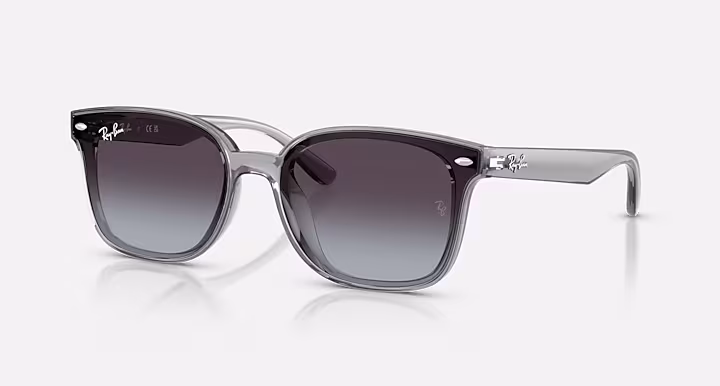 Ray-Ban RB4461D
