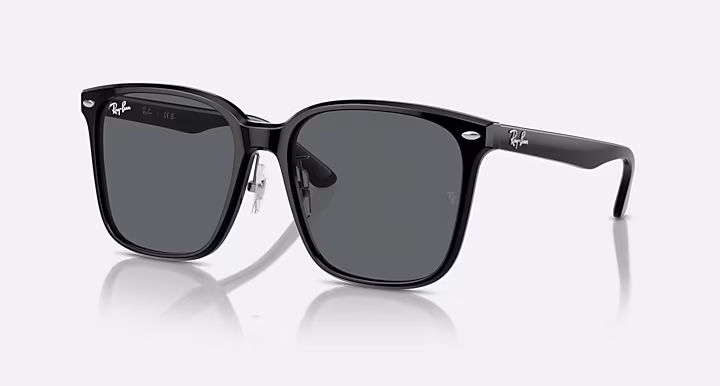 Ray-Ban RB2206D