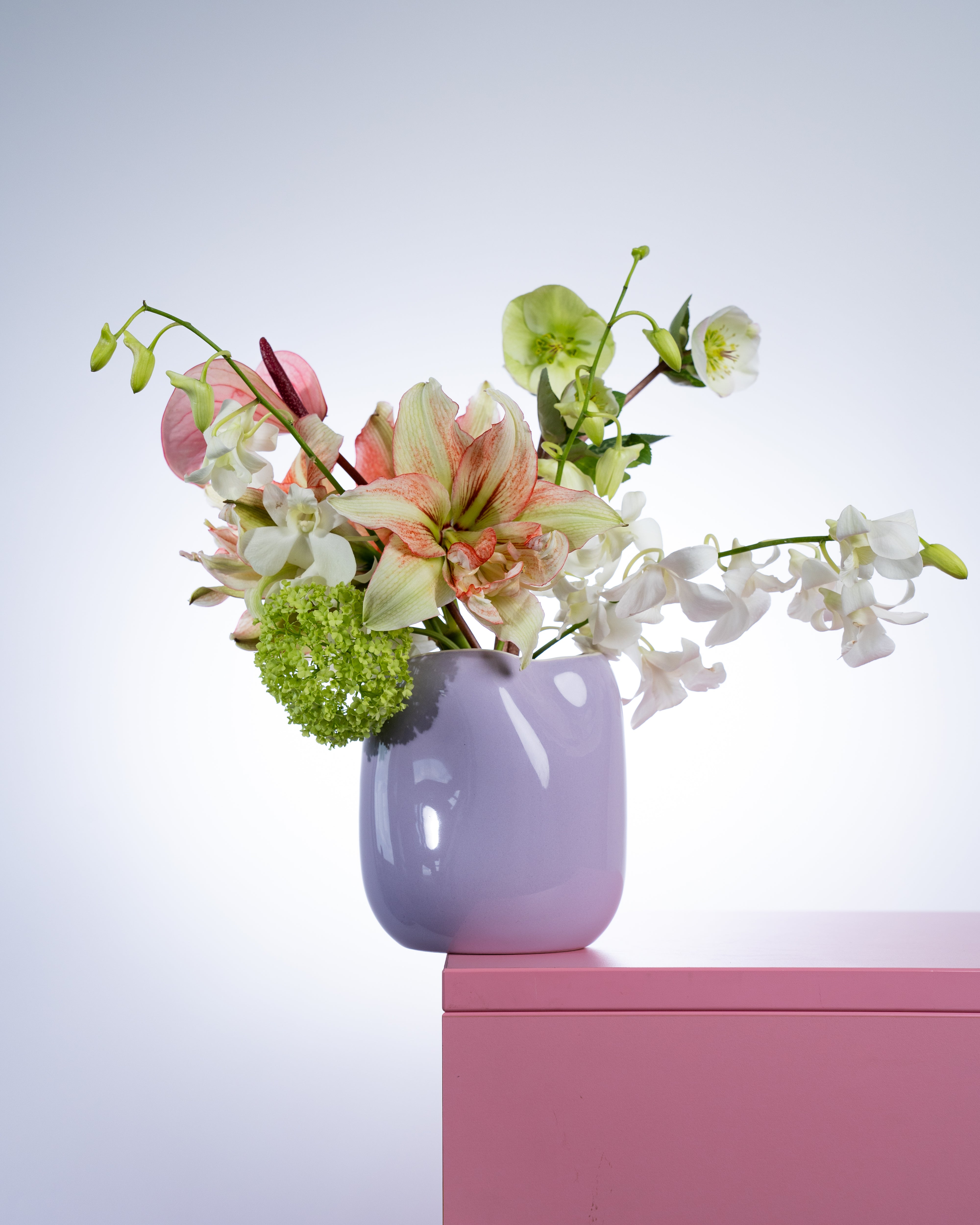 João Vase M lila rosa