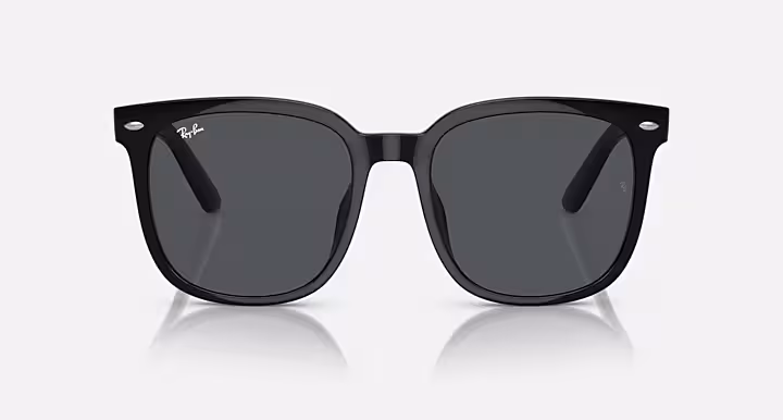 Ray-Ban RB4401D