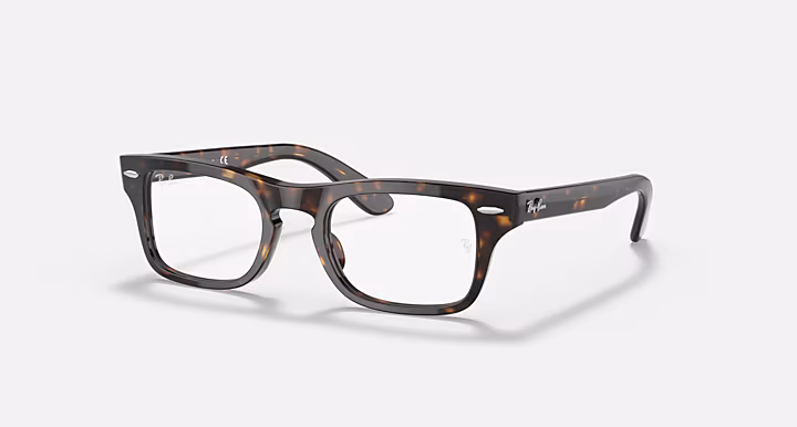 Ray-Ban BURBANK OPTICS KIDS