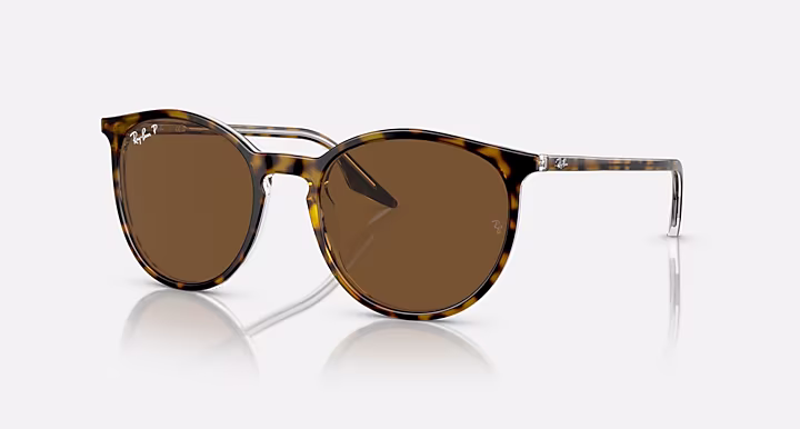 Ray-Ban RB2204