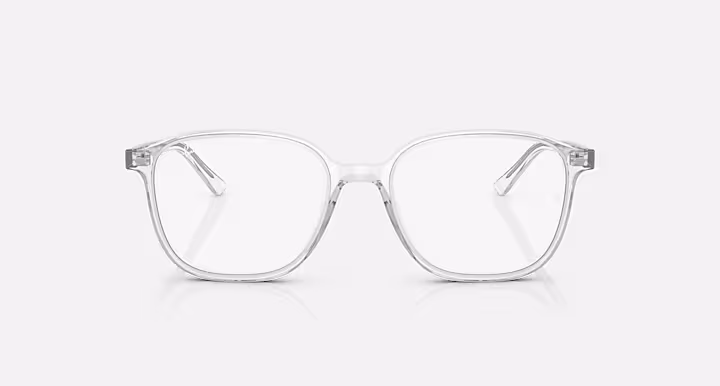 Ray-Ban LEONARD TRANSITIONS®
