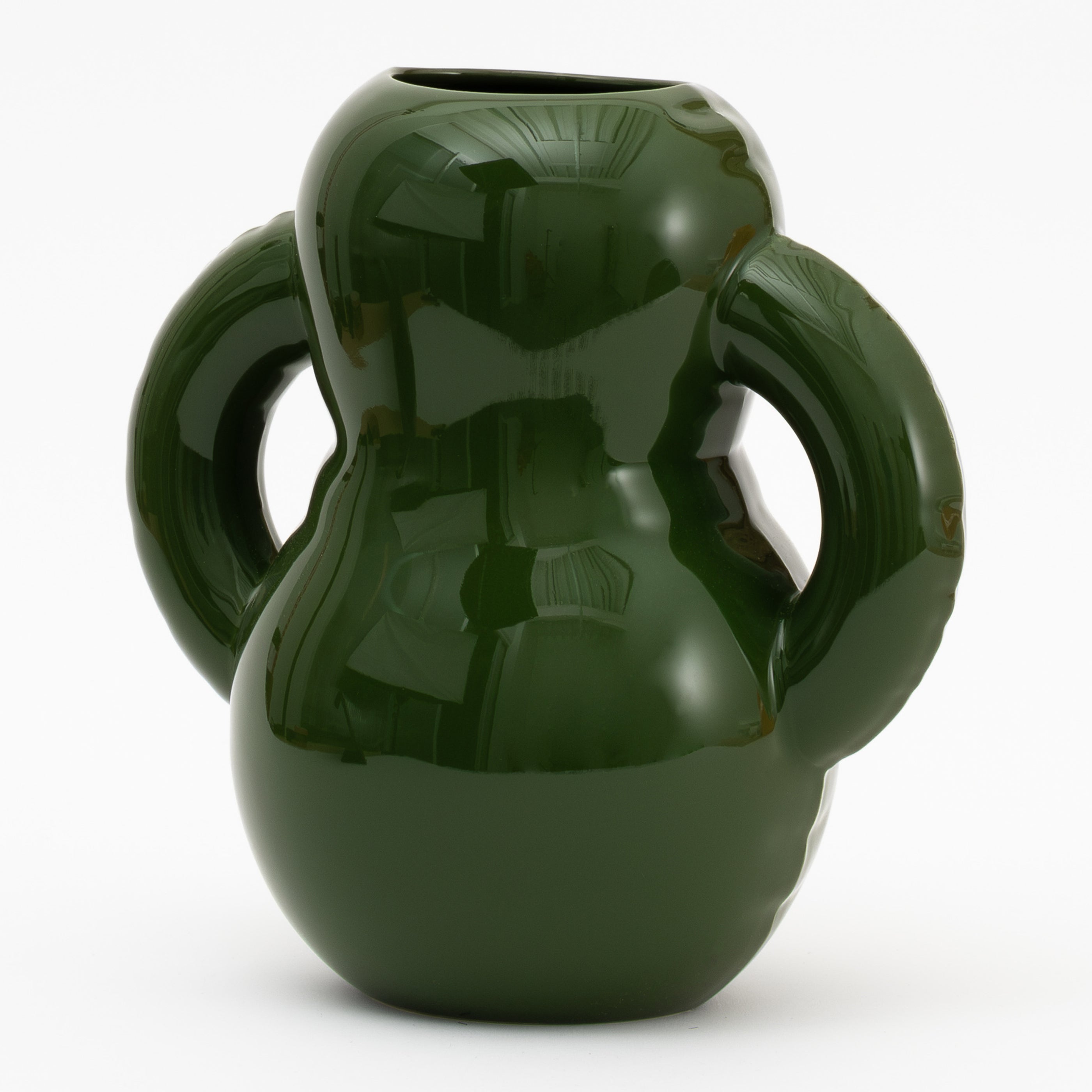 Home Studyo Oscar Vaas - Moss Gloss