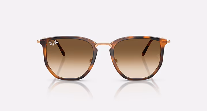 Ray-Ban RB4451