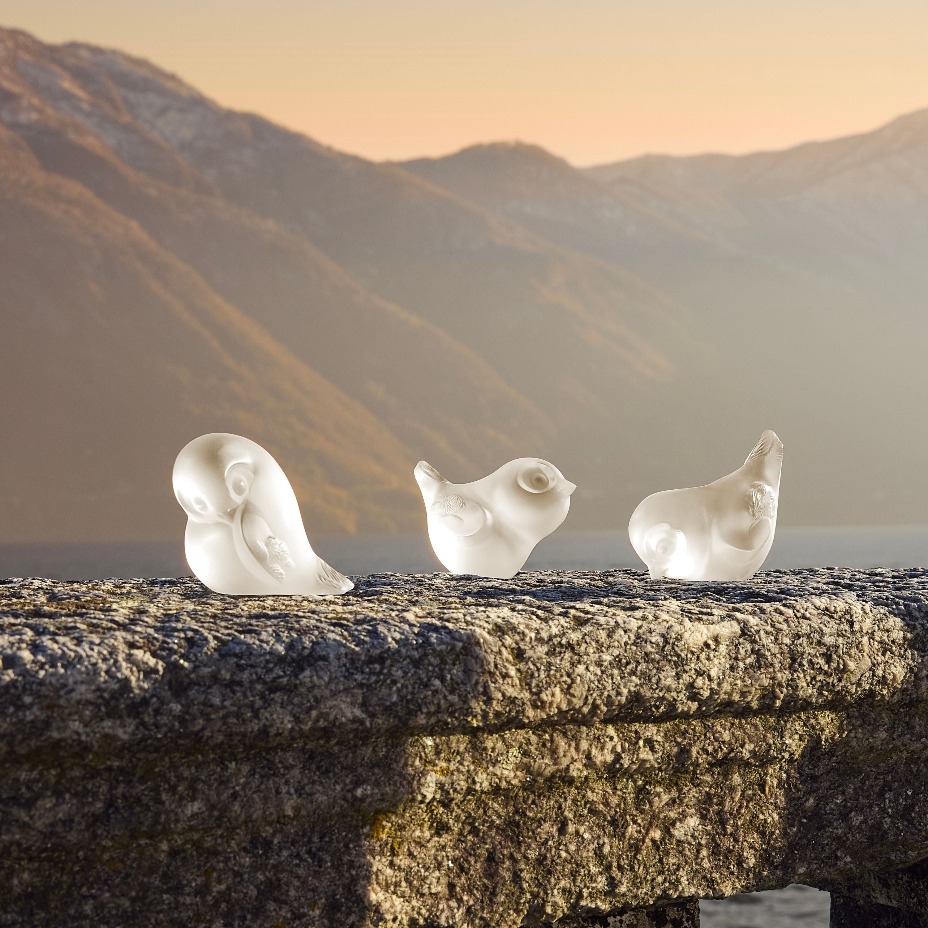 SCULPTURE PIOU-PIOU TÊTE BAISSÉE - CRISTAL INCOLORE