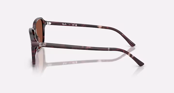 Ray-Ban RAIMOND