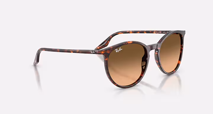 Ray-Ban RB2204