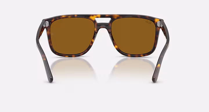 Ray-Ban RB2213