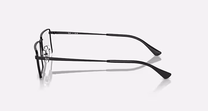 Ray-Ban EMY OPTICS