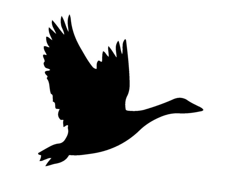 Decoración de Metal Aves 13, Negro, 35x0,15x33 cm, Tucasago