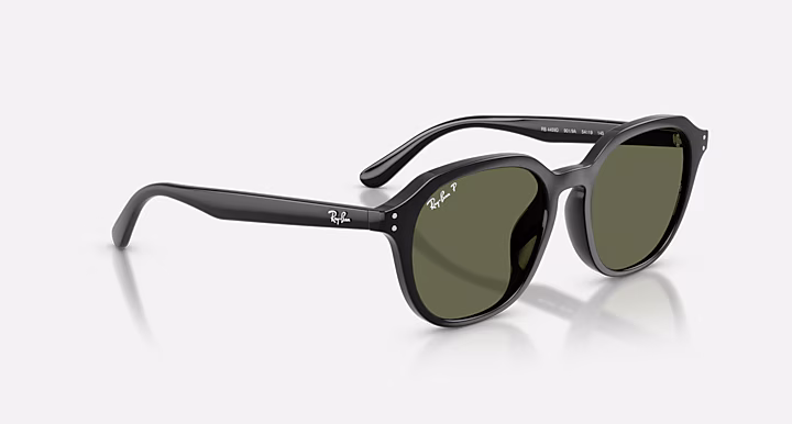 Ray-Ban RB4459D