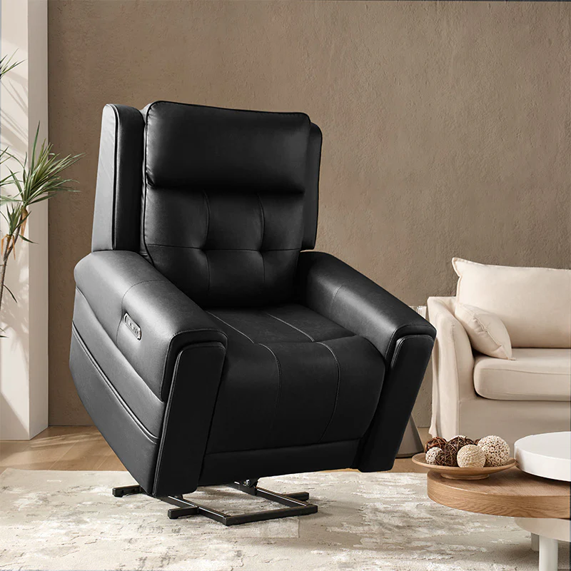 WAYFAIR Horace Lift Support Deluxe Power Recliner