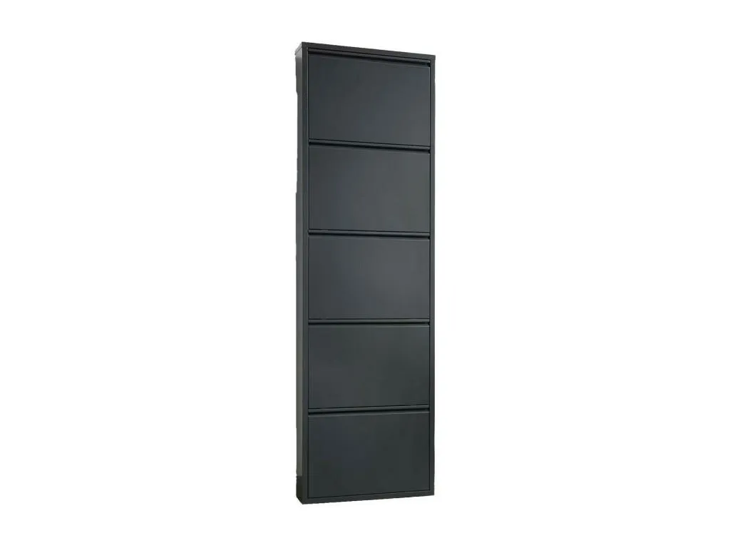 Zapatero Prietocasa Zapatero metálico Armario de entrada multiusos Zapatero 50x15h172 cm Negro