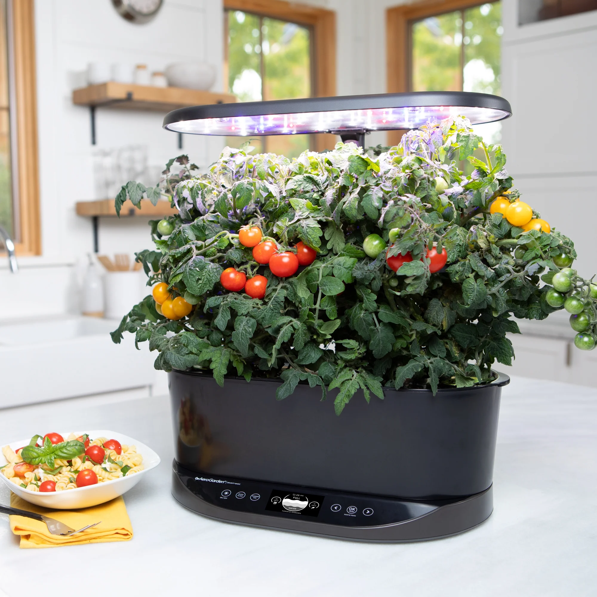 AeroGarden Bounty Basic - Indoor Garden with LED Grow Light, Black - Image 5