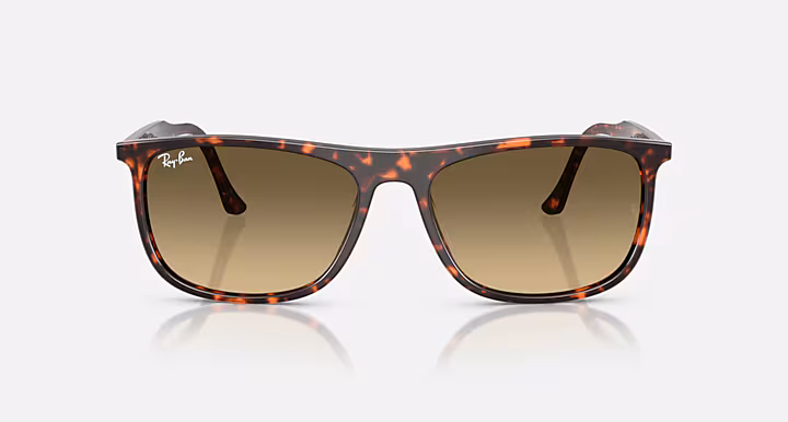 Ray-Ban RB2216