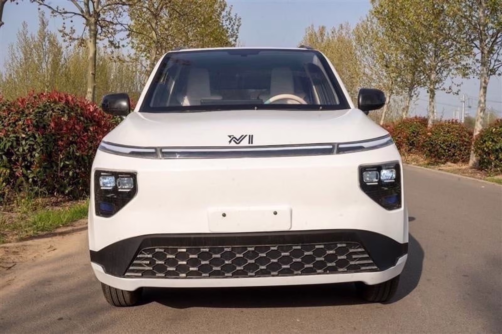 NV Motor Group NVII Mini Electric LSV 4 - Passenger Low - Speed Vehicle, 25 MPH Top Speed, 90 - Mile Range, 3000W/4000W Dual Motors Powered Ride - on(Blue)