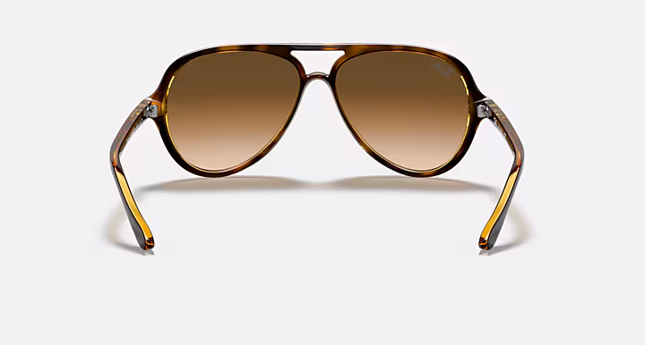 Ray-Ban CATS 5000 CLASSIC
