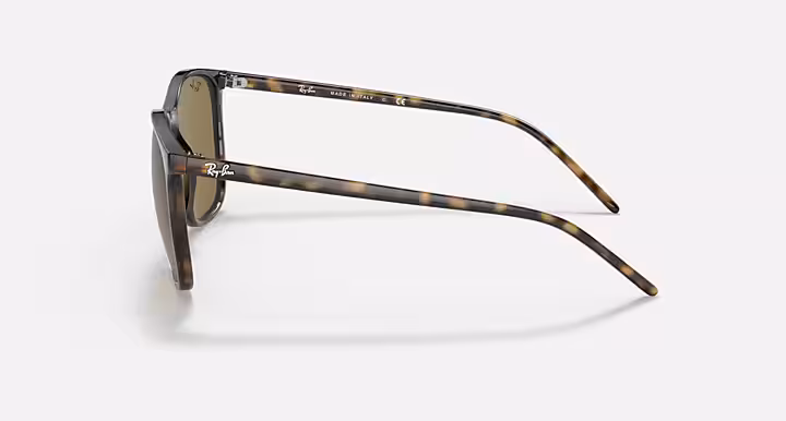 Ray-Ban RB4387
